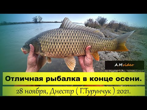 Видео: Отличная рыбалка в конце осени, 28 ноября,  Маяки - Днестр ( Г.Турунчук ) 2021.