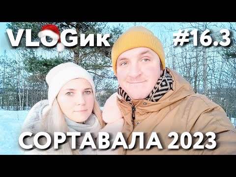 Видео: VLOGик#16.3. НА ЛАСТОЧКЕ В КАРЕЛИЮ. СОРТАВАЛА ЗИМОЙ. ПАРК ВАККОСАЛМИ. КАФЕ АКУЛОВКА. ОБЗОР ГОРОДА.