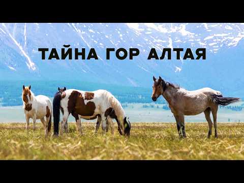 Видео: Тайна горы Бабырган / Место тысячи молний, мистический город-крепость и легенды Алтая