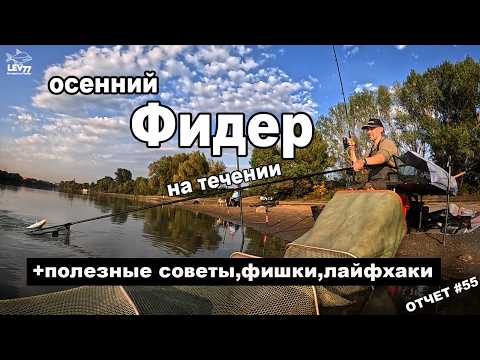 Видео: Фидер осенью на течении.Лещ,рыбец,карась.Рыбалка на Кубани.