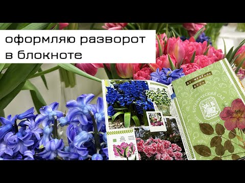 Видео: Заполняю зимний блокнот