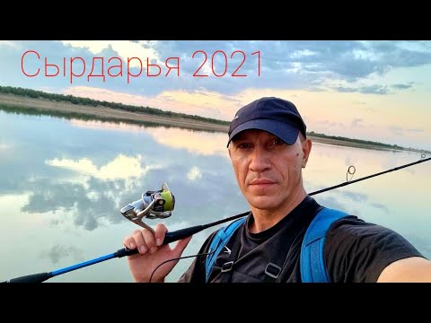 Видео: Осенний Жерех! / Autumn asp