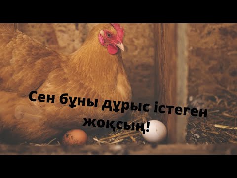 Видео: Сен Бұны Дұрыс Істеген Жоқсын!| Тауықты қалай тез туғызуға болады?