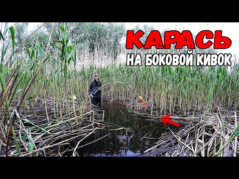 Видео: КАК ЛОВИТЬ ПАССИВНОГО КАРАСЯ ЛЕТОМ?... Ловля карася на боковой кивок. Боковой кивок.
