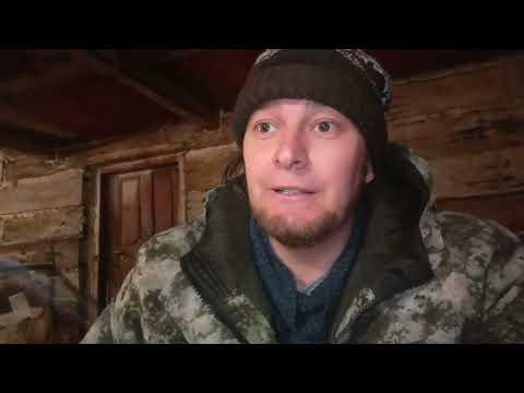 Видео: ‼️## Поросята Сироты(отказники) как их выкормить, в каком возрасте кастрировать поросят ##‼️