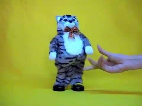 Видео: Танцующий кот, поет 3 песни