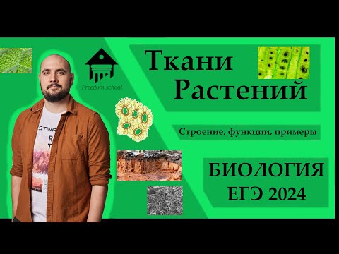 Видео: ТКАНИ РАСТЕНИЙ для ЕГЭ 2024 |ЕГЭ БИОЛОГИЯ|Freedom|