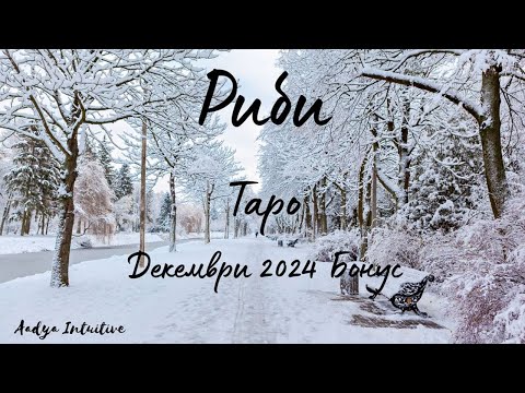 Видео: Риби ♓ Таро 🌻 Получава Ви се! Декември Бонус'24