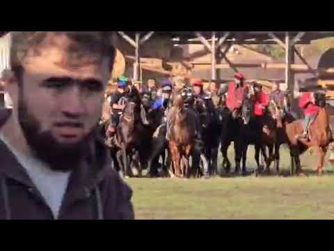 Видео: /18/10/25 Ростов Шаарында аламан улак болду Ноокат Району Кызыл тейит тик бапван Эрмек утту