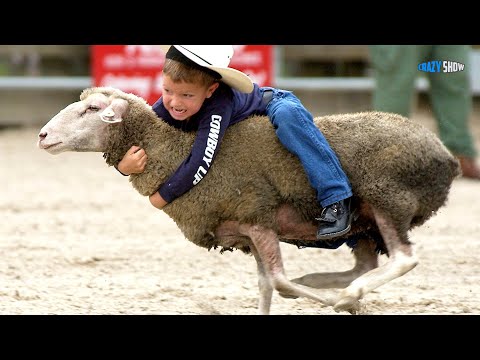 Видео: БАРАНЫ И КОЗЛЫ АТАКУЮТ! ЖИВОТНЫЕ НАПАДАЮТ НА ЛЮДЕЙ #10