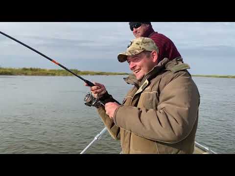 Видео: Рыбалка в Маково, 24.10.2024г. Жерех.