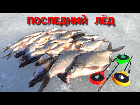 Видео: ОТОРВАЛСЯ ПО ПОЛНОЙ. ПЛОТВА, ГУСТЕРА, ПОДЛЕЩИК. Рыбалка по ПОСЛЕДНЕМУ ЛЬДУ.