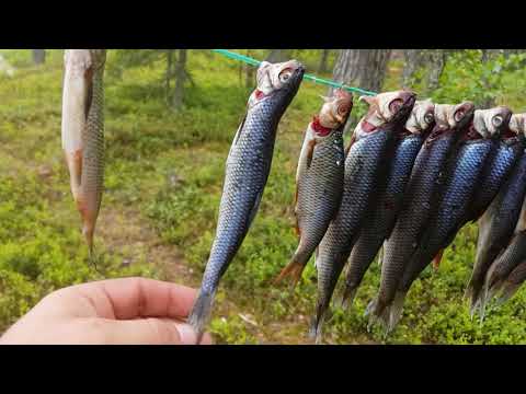 Видео: Изба на берегу реки, баня, быт, дельные советы!