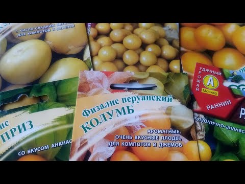 Видео: ФИЗАЛИС - эти сорта не подведут!