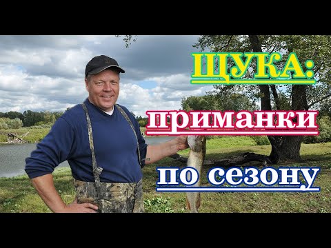 Видео: Щука: приманки по сезону.