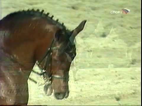 Видео: Юрий Ковшов на Мехоле.