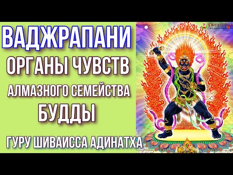 Видео: Ваджрапани - органы чувств алмазного семейства Будды. Гуру Шиваисса Адинатха