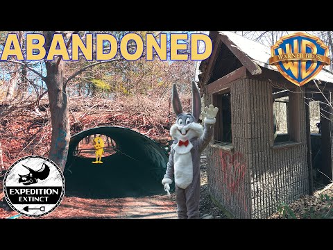 Видео: Заброшенный тематический парк Warner Bros. Jungle | Expedition Extinct