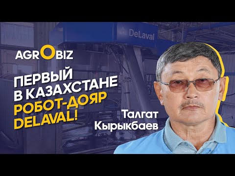 Видео: Умная молочная ферма в Казахстане: роботы-дояры, программы по управлению стадом, контроль кормления