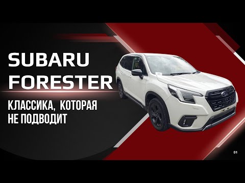 Видео: НЕЗАМЕНИМЫЙ ВНЕДОРОЖНИК!!! SUBARU FORESTER!!