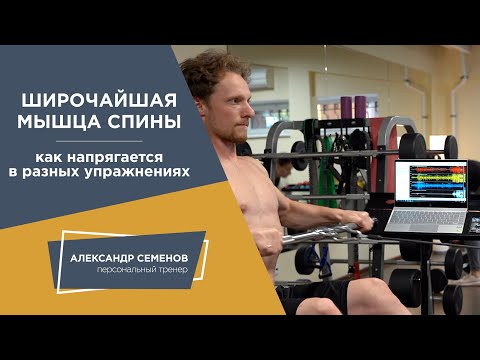 Видео: Упражнения для мышц спины. Подтягивания. Горизонтальная тяга. Миограф