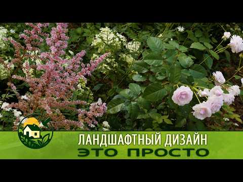 Видео: ГАРМОНИЧНЫЙ ЛЕСНОЙ САД/ Ландшафтный дизайн - это просто/ Звёздная Дача!