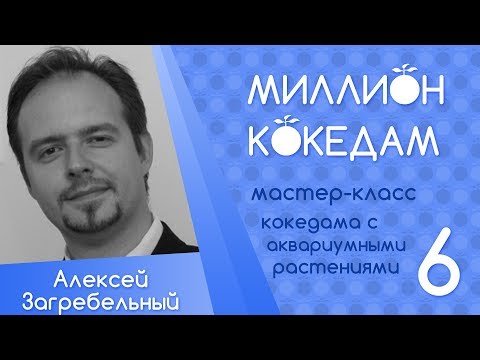 Видео: #МИЛЛИОНКОКЕДАМ Мастер-класс-06 Кокедама с аквариумными растениями