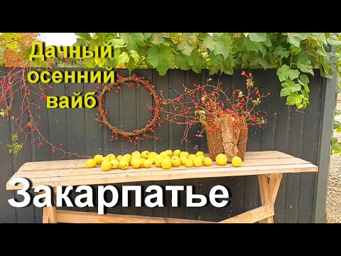 Видео: Продолжаем обуючивать САД. Декор и уголок отдыха. Стол или скамейки?