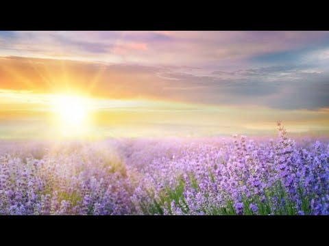 Видео: Опыт, сын ошибок трудных...