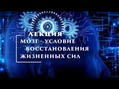 Видео: Цзе Кун. Мозг - условие восстановления жизненных сил