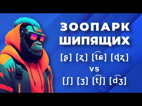 Видео: Зоопарк шипящих: русские ш, ж, щ, ч vs английские [ʃ] [ʒ] [t͡ʃ] [d͡ʒ]