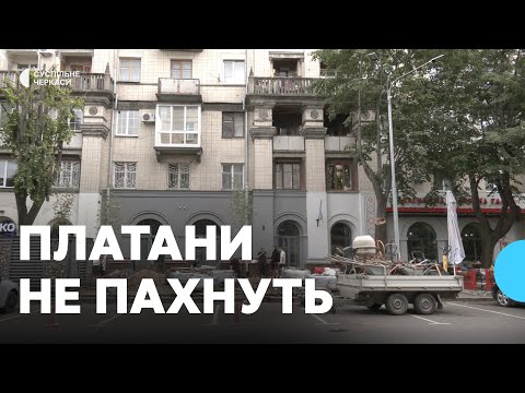 Видео: "Робили тінь людям": у Черкасах біля кафе в центрі міста зрізали липи