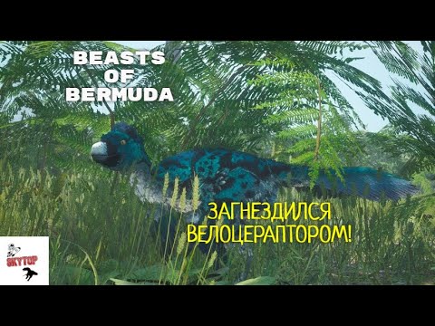 Видео: ||BEASTS OF BERMUDA||ЗАГНЕЗДИЛСЯ ВЕЛОЦЕРАПТОРОМ!ПЛОХИЕ РОДИТЕЛИ)