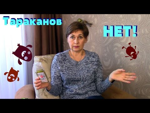 Видео: Отличное средство от тараканов!