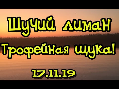 Видео: ТРОФЕЙНАЯ ЩУКА! НАКОНЕЦ ТО ВЗЯЛ ЕЕ! ЩУЧИЙ ЛИМАН