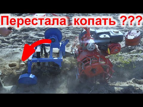 Видео: Не копает картошку картофелекопалка для мотоблока?