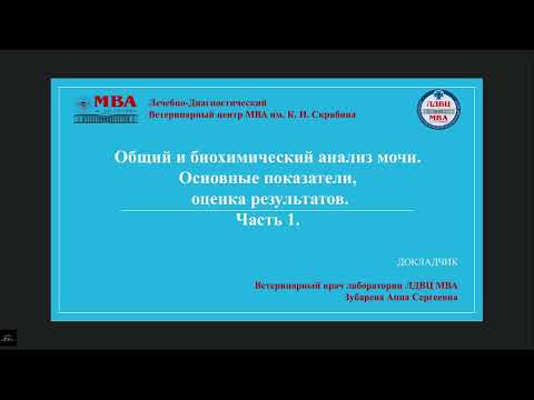Видео: Общий и биохимический анализ мочи.  Основные показатели оценка результатов.