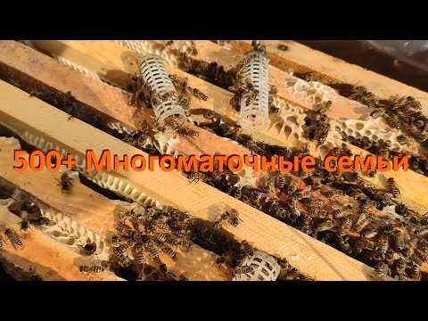 Видео: 500+ Эксперименты - есть шансы на успех.