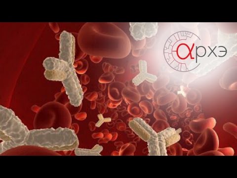 Видео: Вячеслав Дубынин: "Иммунитет глазами физиолога. Введение."