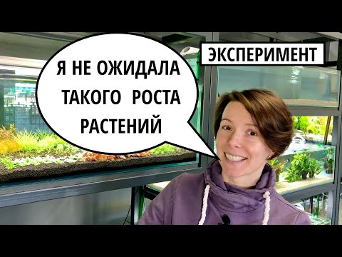 Видео: 8 ПРАВИЛ ГОЛЛАНДСКОГО АКВАРИУМА | ЭКСПЕРИМЕНТ - АКВАРИУМ ТОЛЬКО НА МЕРИСТЕМЕ | ФИЛЬТР OASE BioMaster