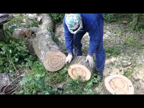 Видео: Хускварна 142 и 357ХР,заметьте разницу