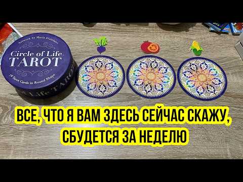 Видео: ВСЁ, ЧТО Я ВАМ ЗДЕСЬ СЕЙЧАС СКАЖУ, СБУДЕТСЯ ЗА НЕДЕЛЮ! Гадание на таро Tarot Scrying