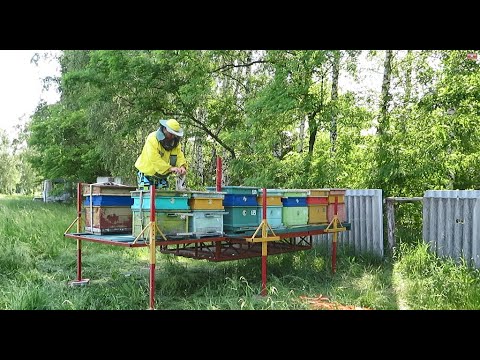 Видео: Платформа для перевозки ульев (2 часть)