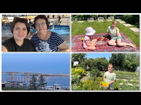 Видео: Собираем календулу🌼  Прогулка по Волге 🛥️ новостройки 🏙️