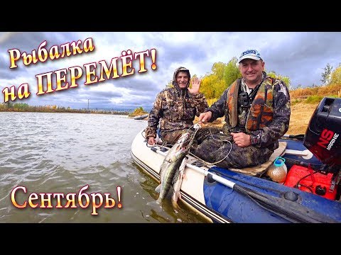 Видео: р. Чулым! Рыбалка на Перемет- Ловля на Живца! Хороший Улов!