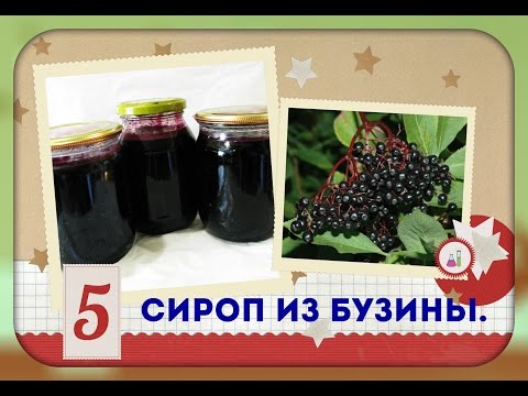 Видео: Сироп из черной бузины от простуды и гриппа для детей и взрослых-делаем сами