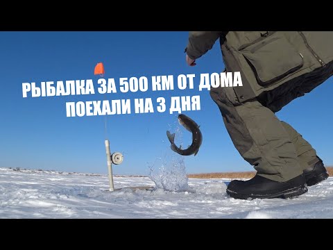 Видео: Рыболовная база "Николаевка". Зимняя рыбалка. 22 щуки и море окуня.