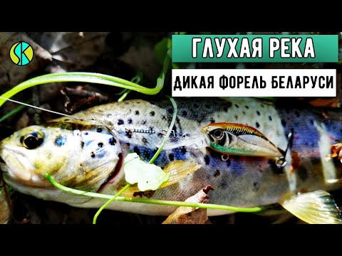 Видео: Охота на дикую ФОРЕЛЬ | УЛЬТРАЛАЙТ на малой реке | Рыбалка на СПИННИНГ 2022