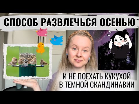 Видео: КАК НЕ СОЙТИ С УМА В ТЕМНОЕ ВРЕМЯ ГОДА? КОРМУШКА ДЛЯ ПТИЦ: МОЙ ОПЫТ И СОВЕТЫ.