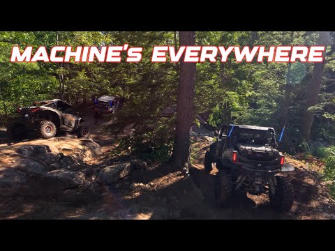 Видео: ХАОС на СЛЕДУ — машины повсюду